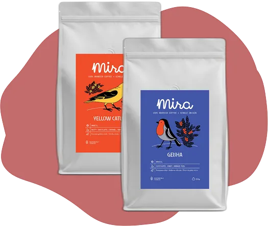 Our Coffee hero illustration